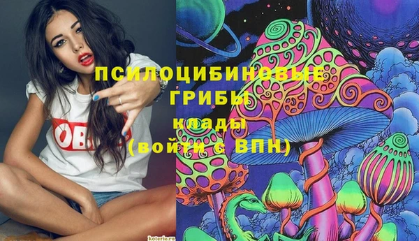 2c-b Верея