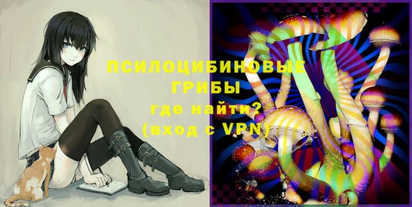 хмурый Бронницы